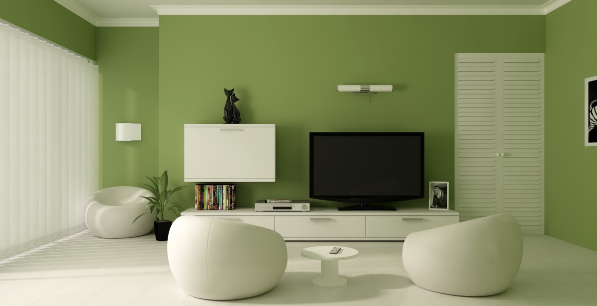 green & white color combination
