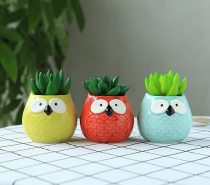 Product Of The Week: Magnetic Owl Keyring Holder