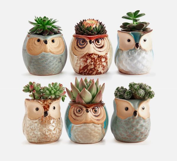 Product Of The Week: Ceramic Owl Succulent Planters