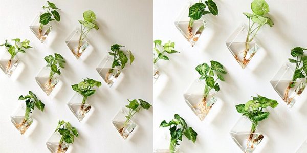 Product Of The Week: Wall Hanging Glass Planters