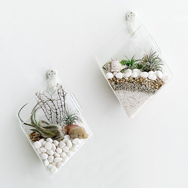 Product Of The Week: Wall Hanging Glass Planters