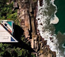 Brilliant Brazilian Houses Centered Around Trees