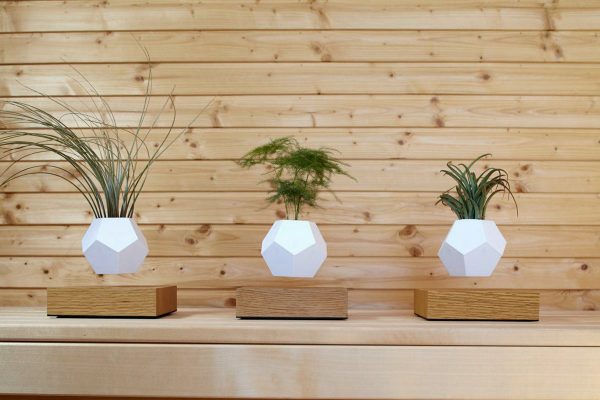 Product Of The Week: Lyfe Floating Planter