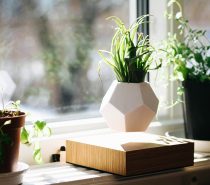 Product Of The Week: A Beautiful Self Watering Planter You Can Use Indoors And Outdoors