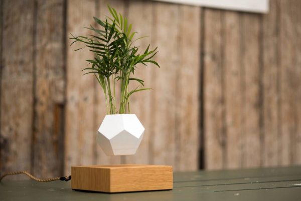 Product Of The Week: Lyfe Floating Planter