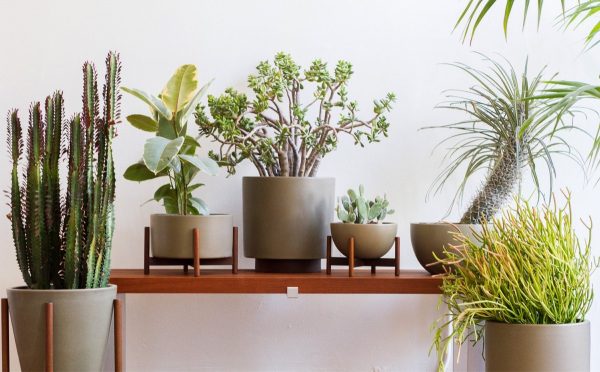 Product Of The Week: Beautiful Plant Stands From Modernica