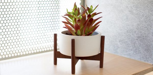 Product Of The Week: Beautiful Plant Stands From Modernica