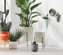 Product Of The Week: A Side Table With Built-in Terrarium Display