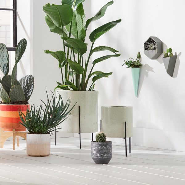 Product Of The Week: Beautiful Mid-Century Style Ceramic Planters With Stand