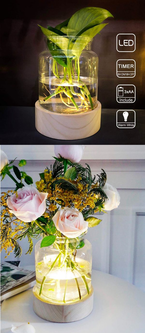 Details about   Glass Flower Vase Desktop Glass Planter Terrarium for Rose Flowers 2 Balls 