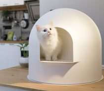 Product Of The Week: A Cute And Stylish Cat Litter Box