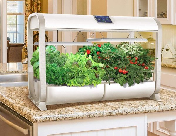 Product Of The Week: A Smart Garden To Help You Grow Veggies Indoors With No Mess