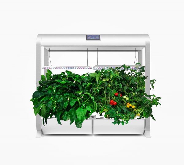 Product Of The Week: A Smart Garden To Help You Grow Veggies Indoors With No Mess