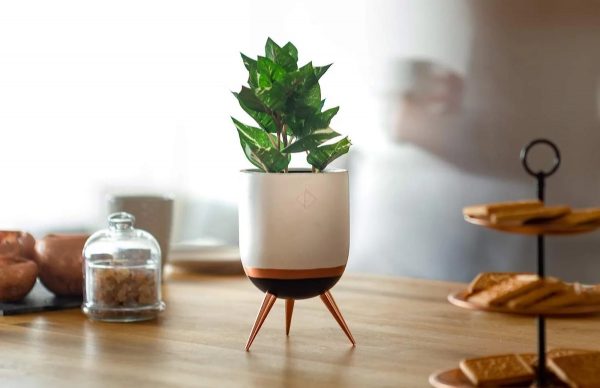 Product Of The Week: Gorgeous Plant Stands