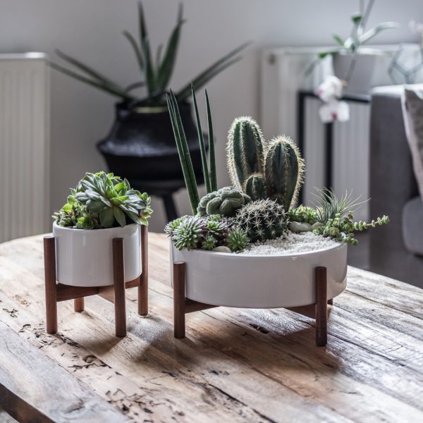 Product Of The Week: Gorgeous Plant Stands