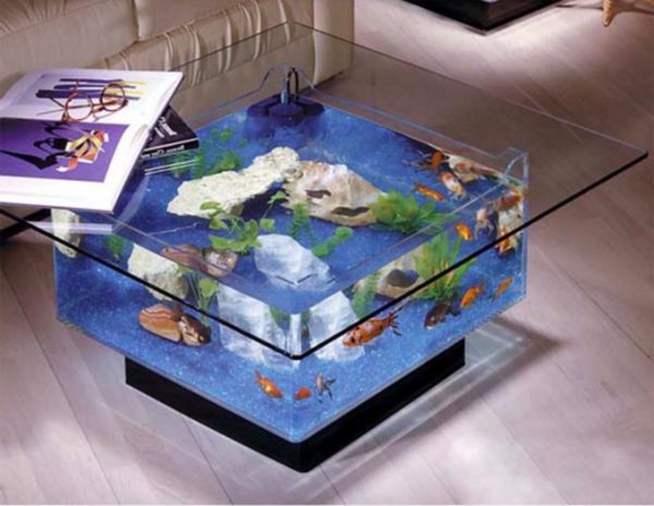 Featured image of post Fish Tank On Glass Table - For a fish tank that has all of the benefits of a rectangular tank but takes up much less space on your table or desk, a square tank is a great option.