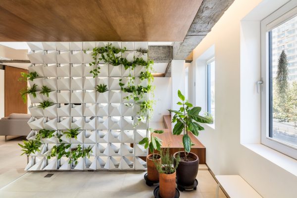 Single Bedroom Loft With Double-sided Living Wall Design