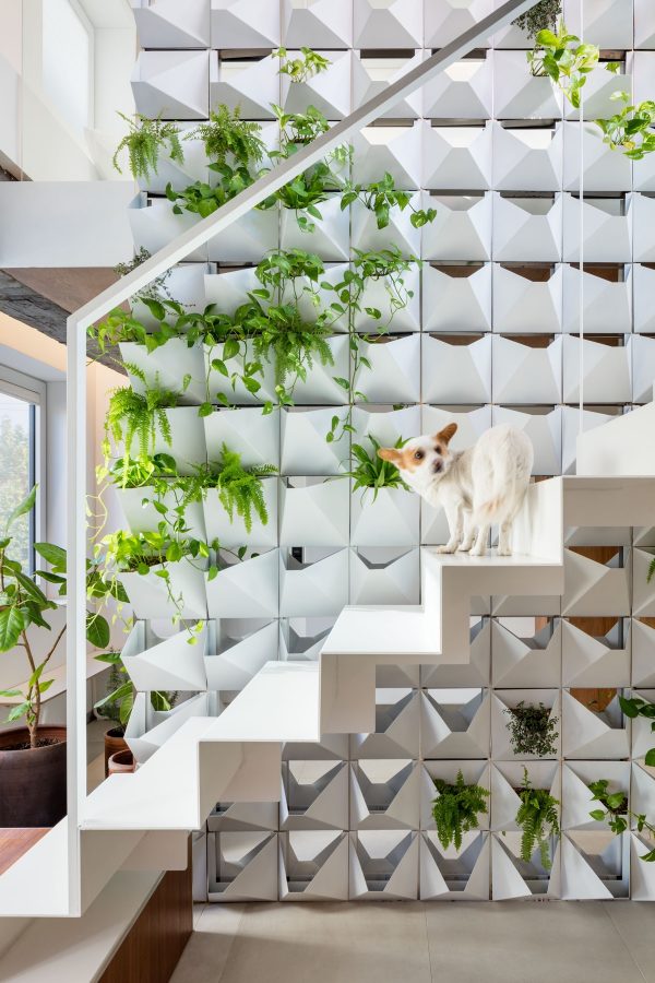 Single Bedroom Loft With Double-sided Living Wall Design