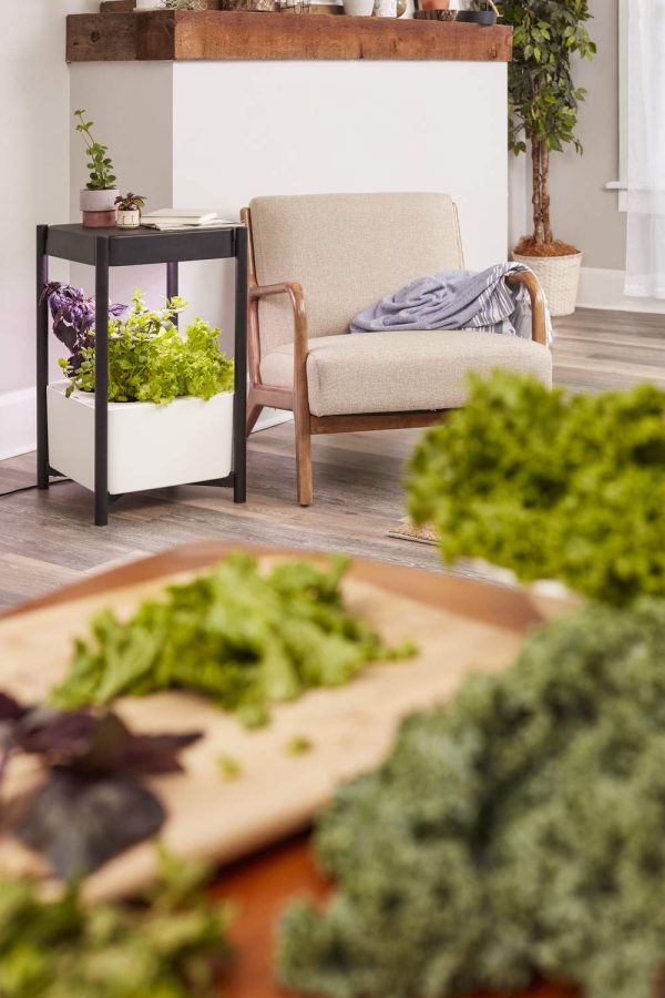 Product Of The Week: A Side Table With A Built In Hydroponic Planter