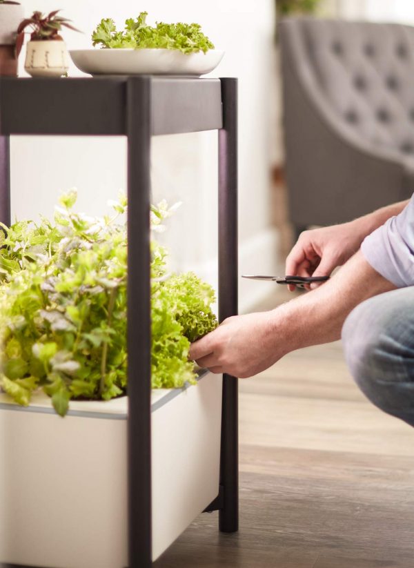 Product Of The Week: A Side Table With A Built In Hydroponic Planter