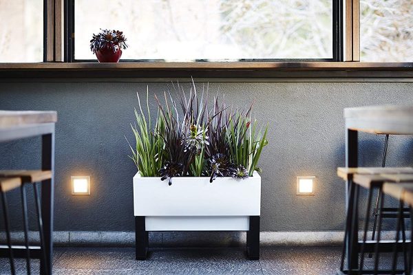Product Of The Week: A Beautiful Self Watering Planter You Can Use Indoors And Outdoors
