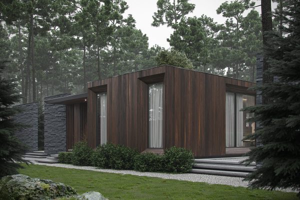Modern Single Story Forest House With Pool in Ukraine