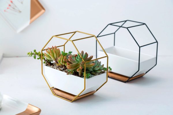 Product Of The Week: Modern Hexagonal Succulent Planters
