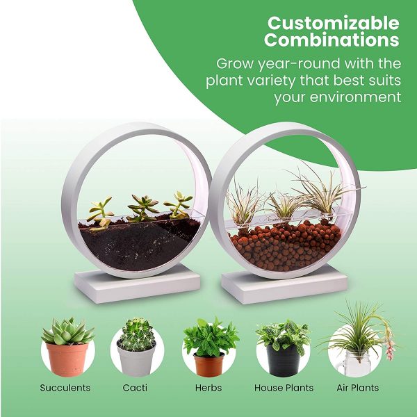 Product Of The Week: A Beautiful Ring Planter With Grow Lights