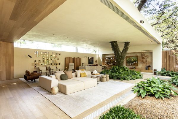 Brilliant Brazilian Houses Centered Around Trees