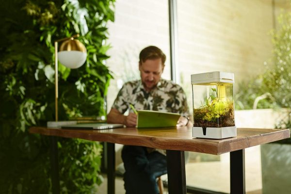 Product Of The Week: A Smart Terrarium
