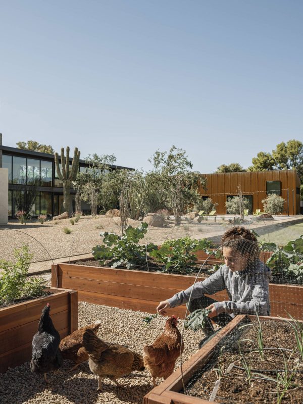 Arizona Family Home Built To Nurture Creativity