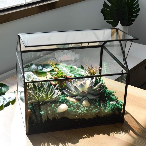 Product Of The Week: Mini Greenhouse Terrariums