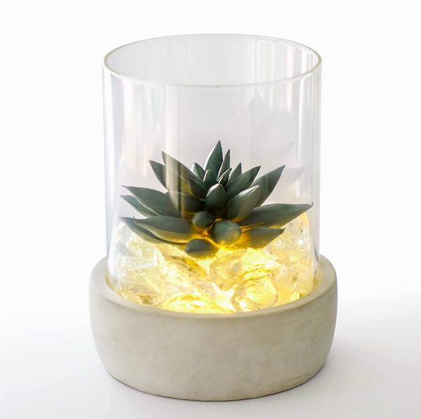 Artificial Succulents With Ambient Light Timer