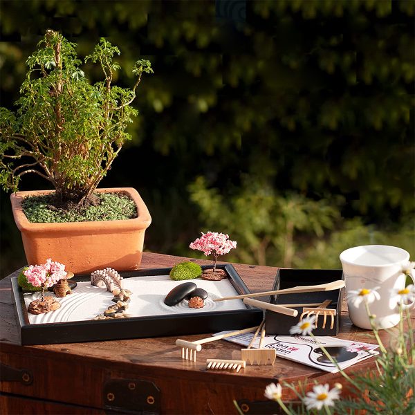 Product Of The Week: Mini Zen Garden Kit
