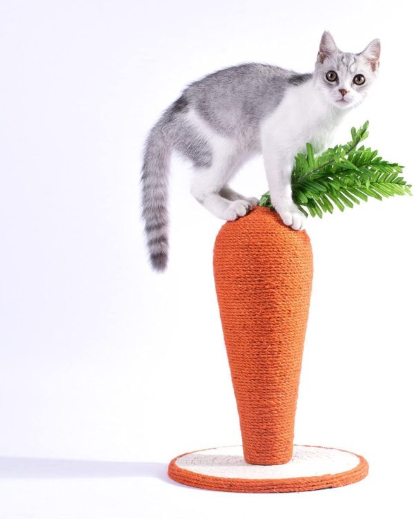 Product Of The Week: Cute Cat Scratching Post