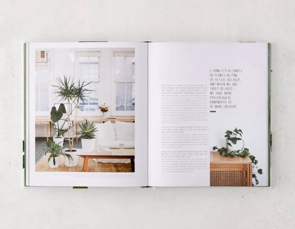 Product Of The Week: Guide to Keeping House Plants