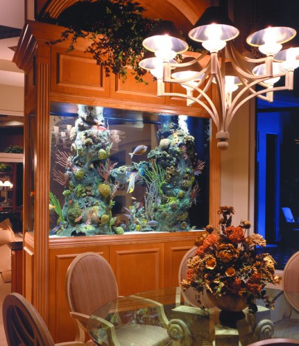 Aquarium Raumteiler