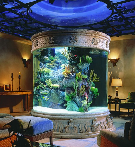 aquarium als Mittelpunkt