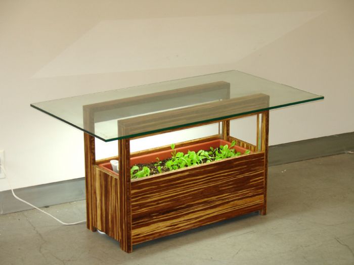 Indoor Garden, Indoor Garden Table