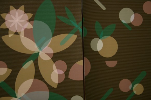 طريق طي الورق للفنان شوبير سيموناعمال فنيه مدهشه باستخدام الورق