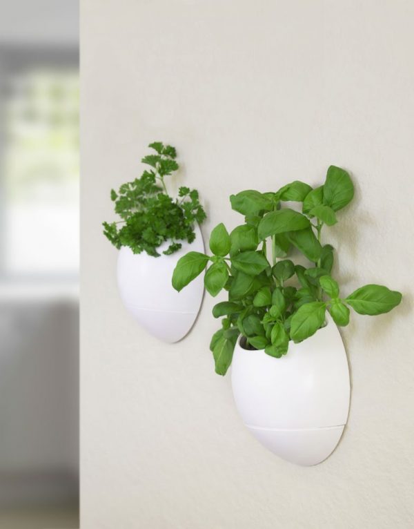 The Big List Of Self Watering Planters For Stylish Gardening Anywhere - Indoor Wall Mounted Plant Holders
