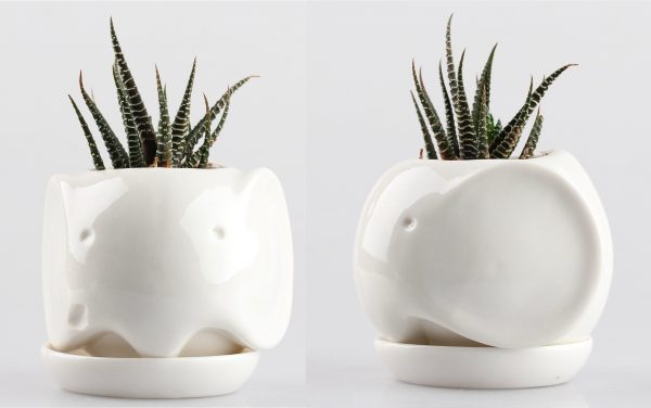 GeLive Elephant Planter Ceramic Plant Pot Succulent Pottery Decorative... 