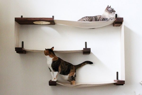 Super Stylish Cat Houses Furniture, Cool Cat Wall Shelves