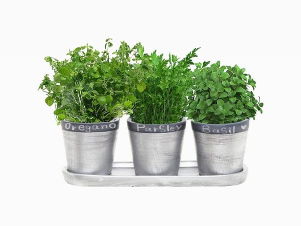 30 Indoor Herb Pots And Planters To Add, Herb Garden Planter Set