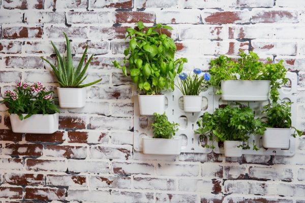 30 Indoor Herb Pots And Planters To Add, Indoor Herb Garden Kit Wall Hanging