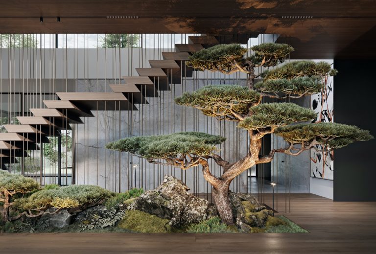 Bonsai tree | Interior Design Ideas