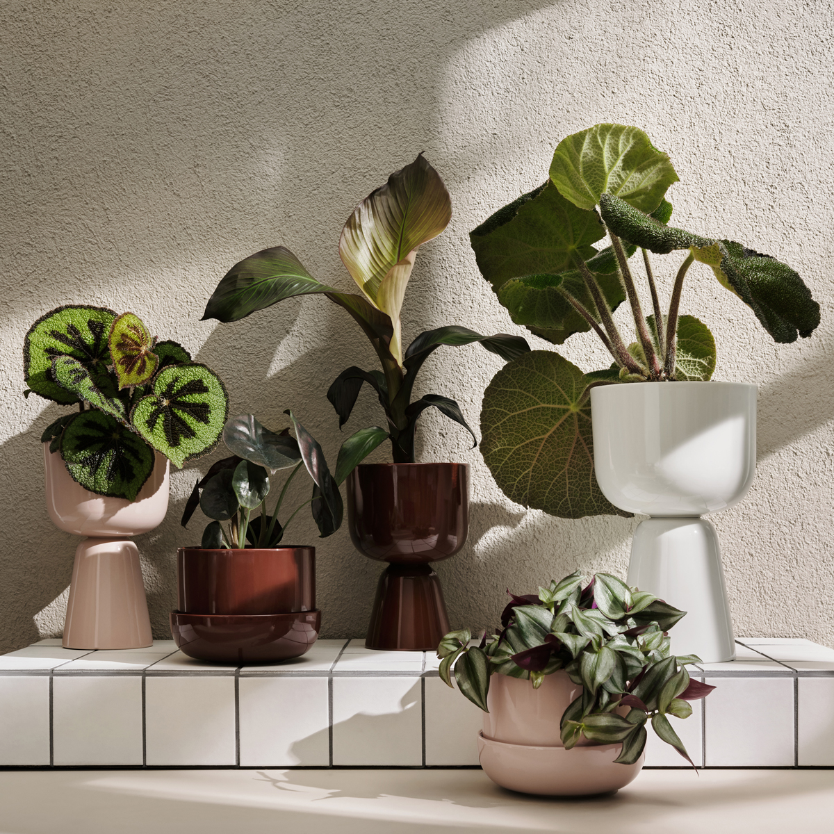51 large planters to upgrade your plant game
