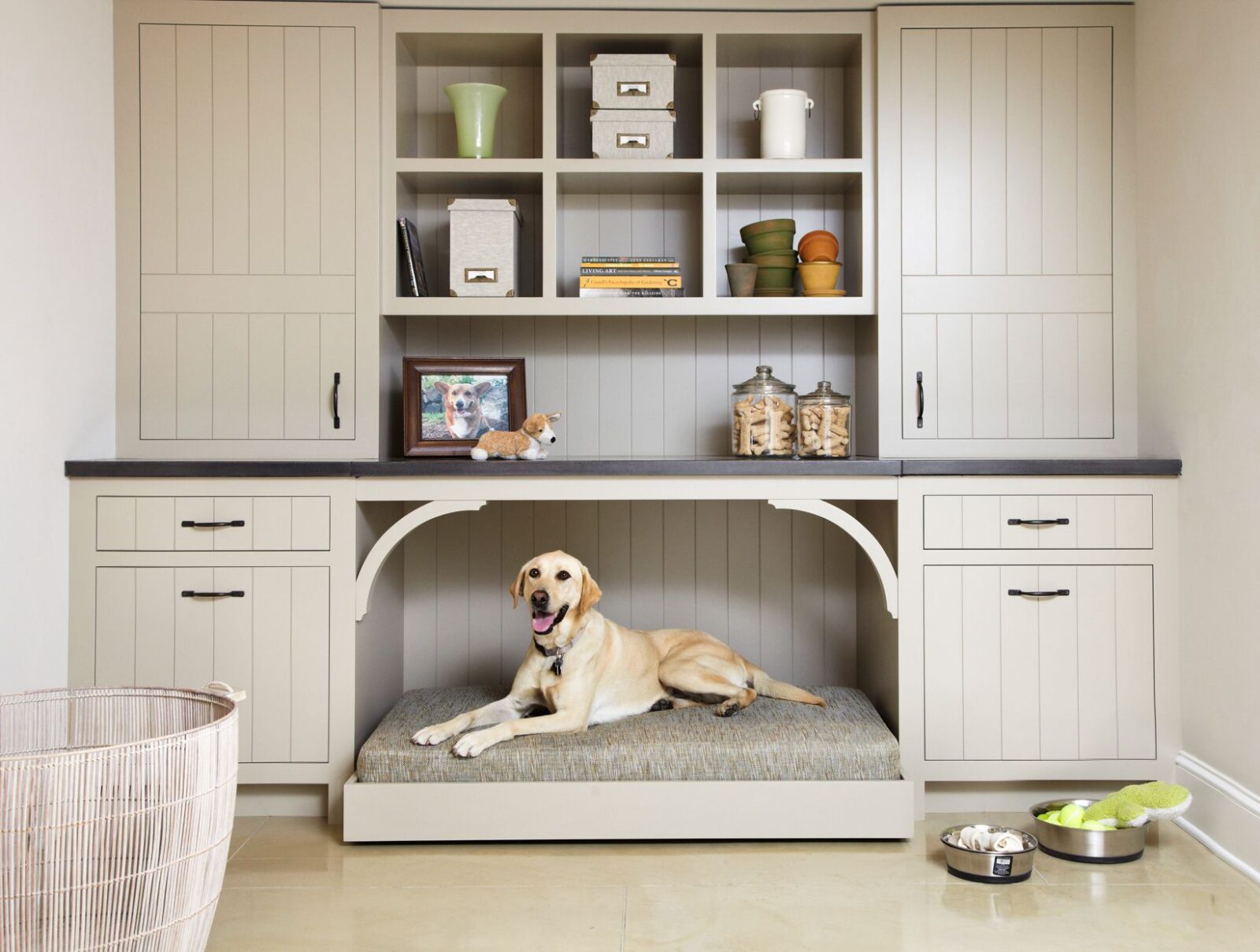 Pet-Friendly Interior Design Ideas That Look Chic and Modern